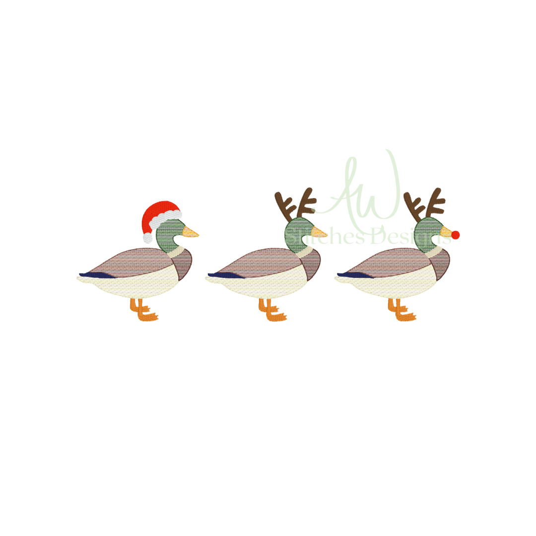Christmas Mallard Duck Sketch Trio