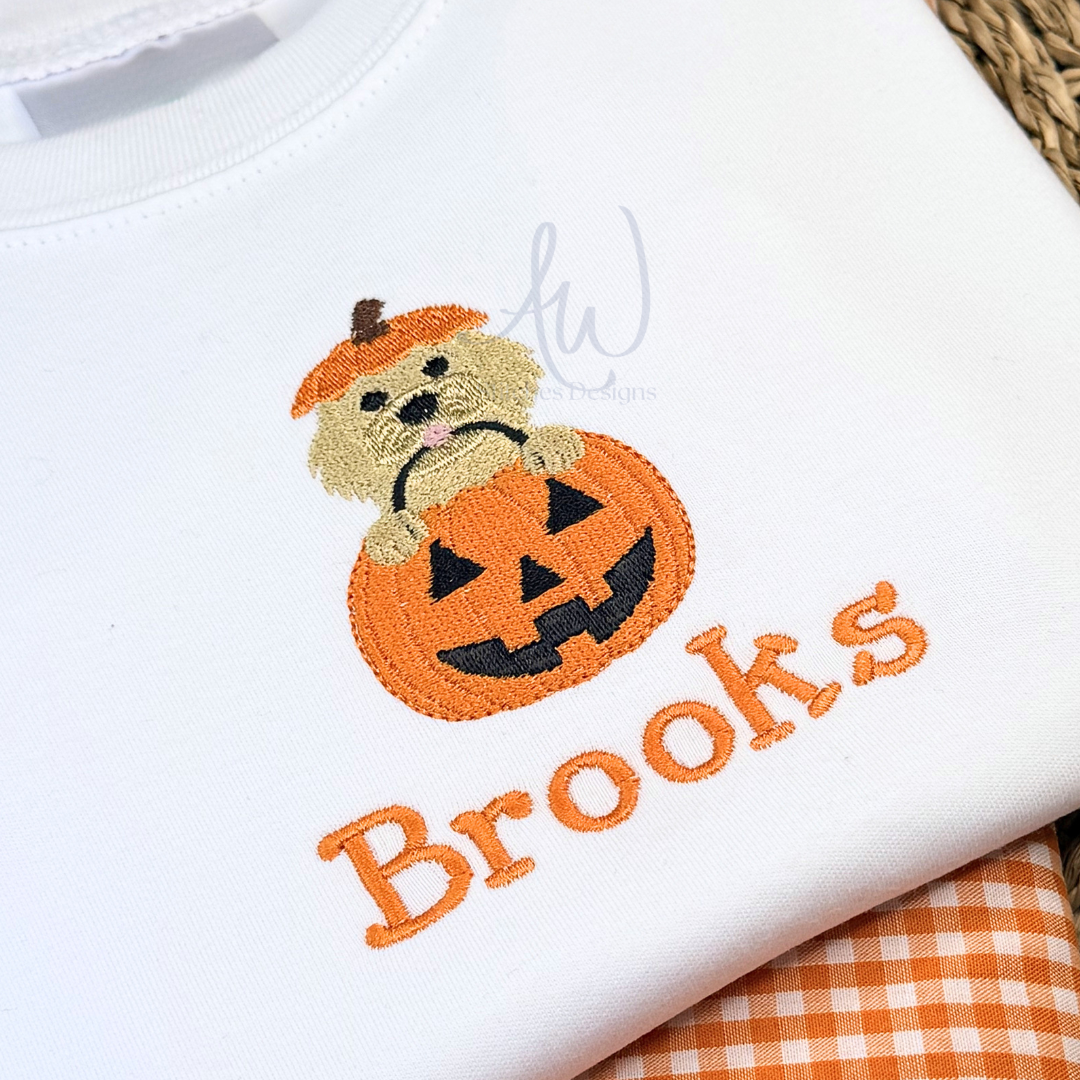 Embroidered design of a teddy bear in a pumpkin with 'Brooks' text on a white background.