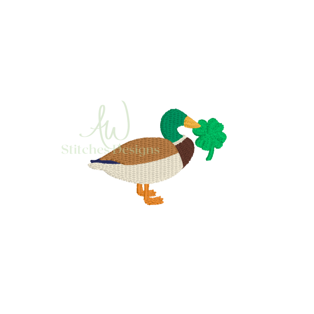 Mini Shamrock Mallard Duck