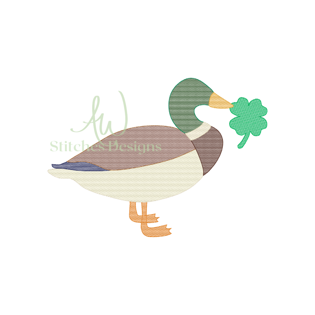 Shamrock Mallard Duck Sketch